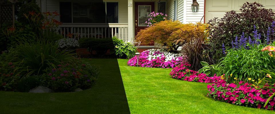 Rio Landscapers
