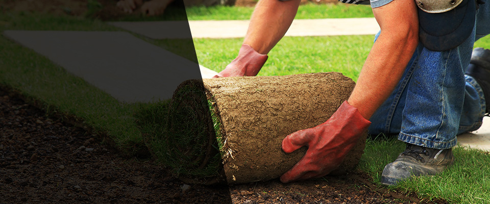 Rio Landscapers